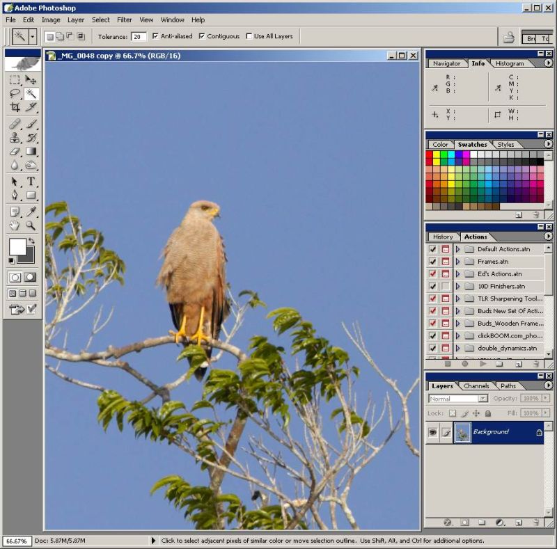 Ed S Sharpening Technique - Download Professional Light Image | Mobile